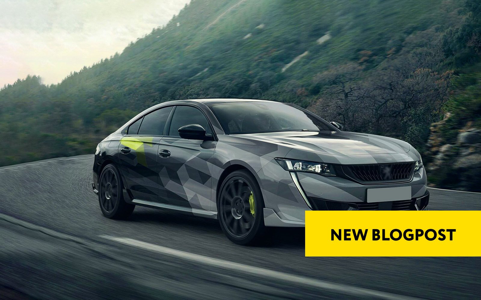PSA ONLINE CODING (CONFIG) OPTIONS - A NEW OUTLOOK ON PEUGEOT/ CITROEN